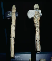 Steinbeile, prähistorisch